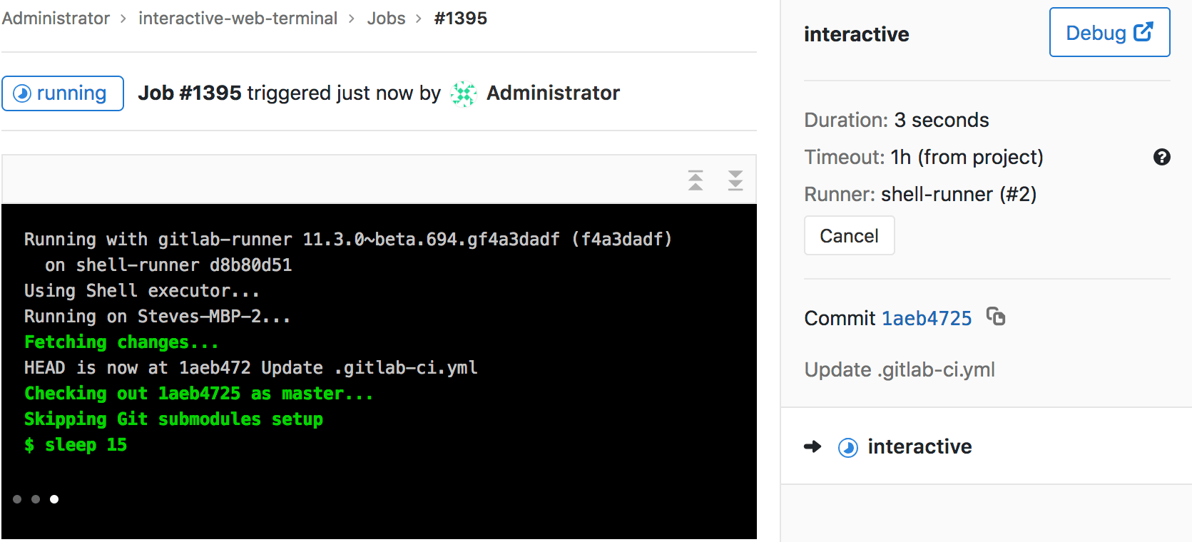 Example of job running with terminal available